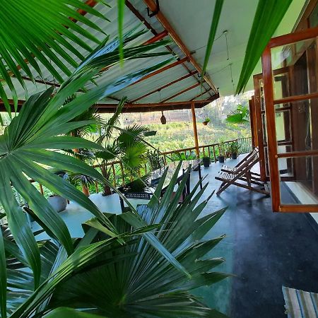 Serenity Homestay Ella Kültér fotó