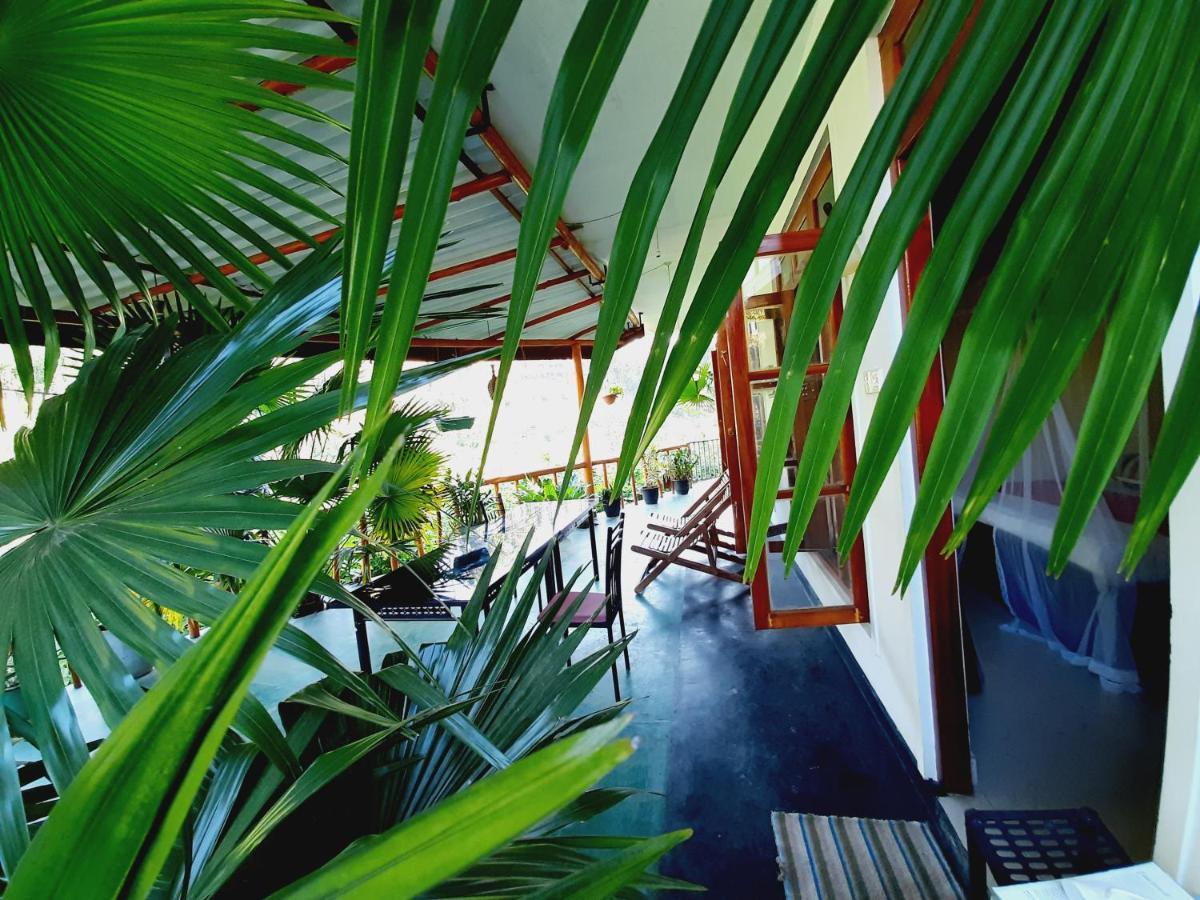 Serenity Homestay Ella Kültér fotó