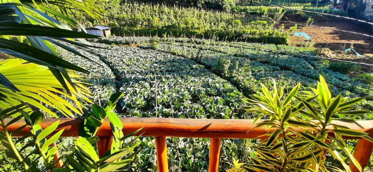 Serenity Homestay Ella Kültér fotó